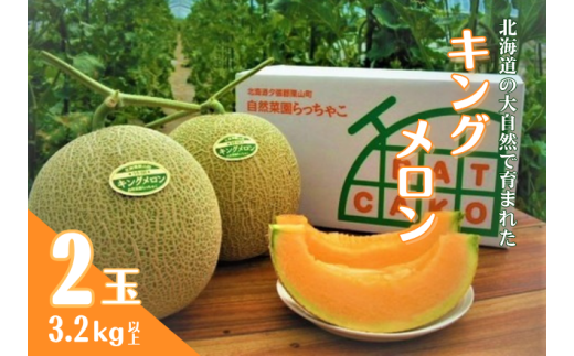 【北海道栗山町】【先行予約・数量限定】北海道の森が育てた奇跡のキングメロン 2玉 YD004
