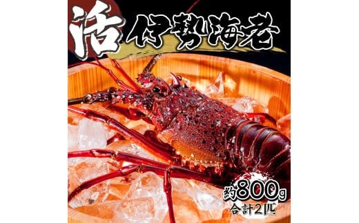 y{茧ԎszHRISI-80 ys\zʌ聄{茧ԎYɐGri800gjyHouryoumaruz