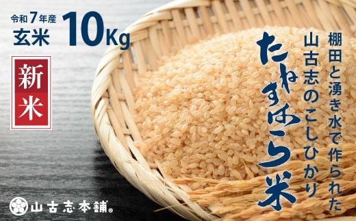 yVszG3-7G10RÎûЂu˂͂āv10kgiVYRVqJj