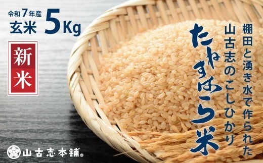 yVszG3-7G05RÎûЂu˂͂āv5kgiVYRVqJj