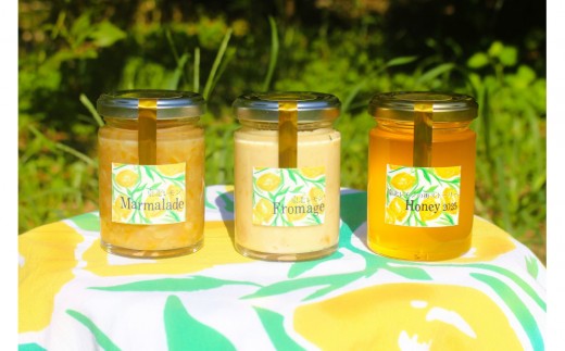 y{szkiRj3{Zbgi}[}[hEt}[WE݂͂j