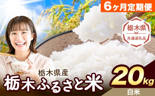 yȖ،ؒzy6ցz Ȗ ӂ邳ƕ  20kg (5kg×4)sXo׊JntȖ، ؒ  Y   ٓ ɂyȖ،ʕԗiz