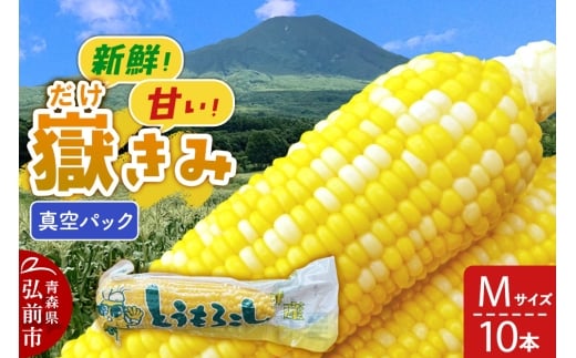 yXOOszԂݐ^pbN MTCY 10{ 炩݃{