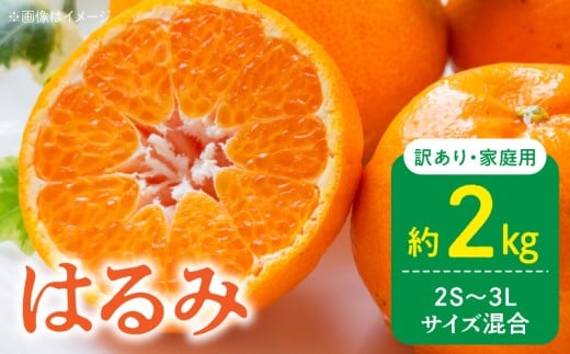 ya̎R󒬁zDZ6219_y2026Ns\z󂠂 ƒp ͂ a̎R Lc 2S`3LTCY 2kg