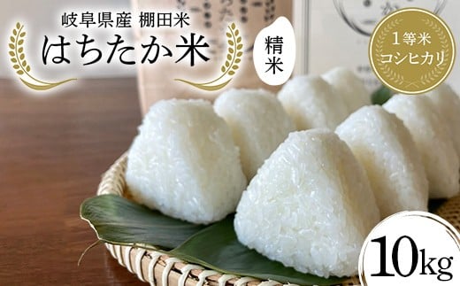 y򕌌Ðsz򕌌Y Ic 1ăRVqJ ͂ 10kgi5kg×2܁j F4N-2587