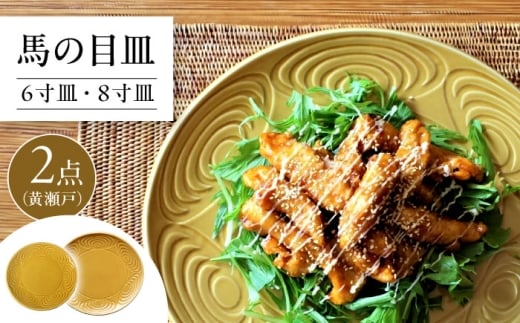 ymˎszyˏāz n̖ڎM 2_Zbg () 6ME8M yGEGEVnVz / H v[g aH / ˎs [BBBA006]