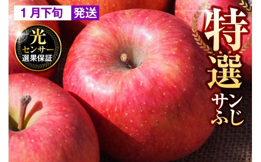 yX܏쌴szy2026N1{zyIz 5kg Tӂ X ܏쌴