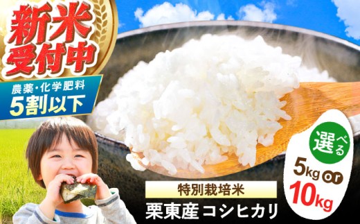 yꌧIszyIׂeʁzߘa7NxY IY ʍ͔| RVqJ /  ͂ Sn V ߘa7NY / Is / [N_Ƌg[BIBV004]