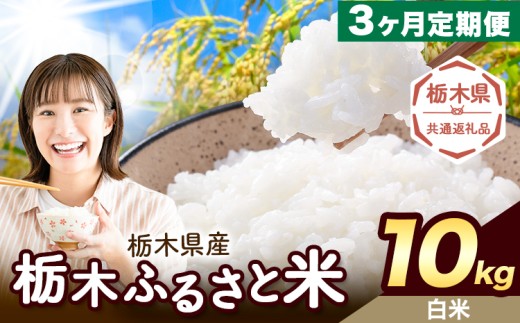 yȖ،ؒzy3ցz Ȗ ӂ邳ƕ  10kg (5kg×2)sXo׊JntȖ، ؒ  Y   ٓ ɂyȖ،ʕԗiz