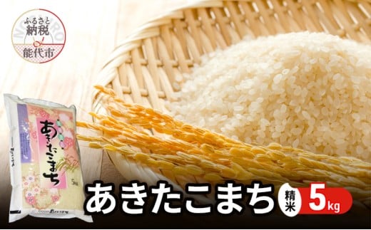 yHc\szߘa7NY ܂  5kg HcY   ͂  Pꌴ