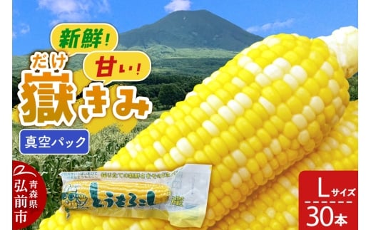 yXOOszԂݐ^pbN LTCY 30{ 炩݃{