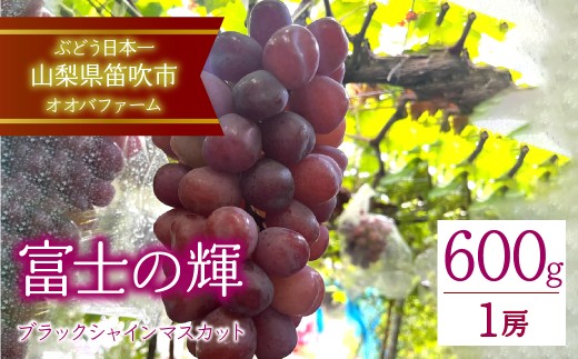 【山梨県笛吹市】【2026年発送★先行予約】富士の輝(ブラックシャインマスカット)約600g以上 1房 092-013 |ぶどう 葡萄 笛吹市 ブラック ブラックシャインマスカット 希少 希少品種 富士の