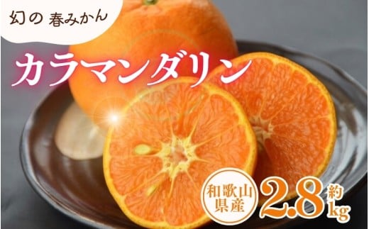 ya̎RnzJ}_ 2.8kg/TCY܂@2026N4{`2026N5{ɏ\(͂ws)@Iɍq{܁@yntbt471Bz