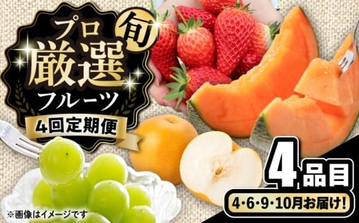 y茧쓇szy4ցzvI {̃t[c / ʕ t[c ʕ t[c / 쓇s / 2_ [SGG002]