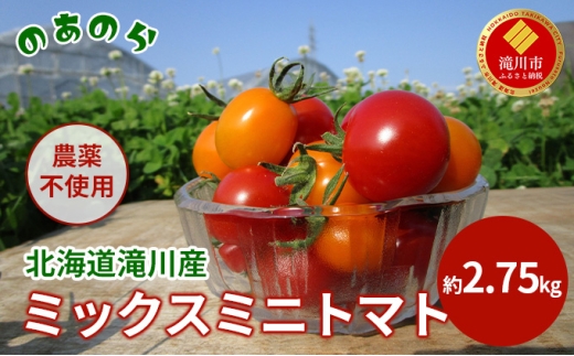 ykCszy2026NYstzy͔|Ԓ _sgp z kC s Y ~bNX ~jg}g 2.75kg i2026N7{j g}g  ₳ ݂ɂƂ܂