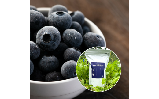 【北海道余市町】【余市産無農薬】冷凍ブルーベリー 残留農薬検査済み 2025年収穫