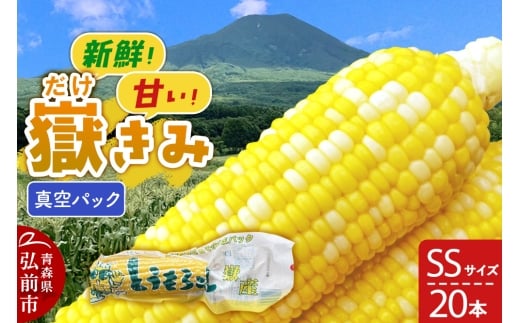 yXOOszԂݐ^pbN SSTCY 20{ 炩݃{