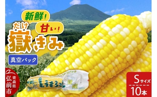 【青森県弘前市】嶽きみ真空パック Sサイズ 10本 しらかみラボ