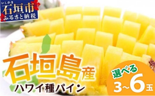 【沖縄県石垣市】【先行予約】《2026年6月上旬頃より順次発送》石垣島産 ハワイ種 パイン 3〜6玉 約3〜6kg 【 産地直送 沖縄 石垣 パイナップル フルーツ 】石垣さんちの石垣トロピカルファー