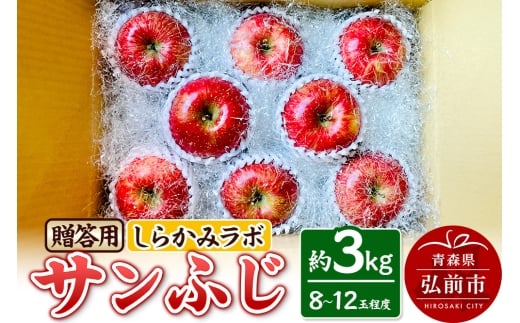 【青森県弘前市】【25年12月〜発送】りんご サンふじ 贈答用 約3kg しらかみラボ
