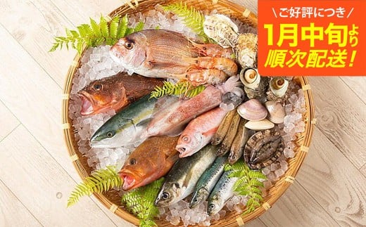 【兵庫県豊岡市】【城崎温泉おけしょう鮮魚】季節の海の幸セット 約2人前