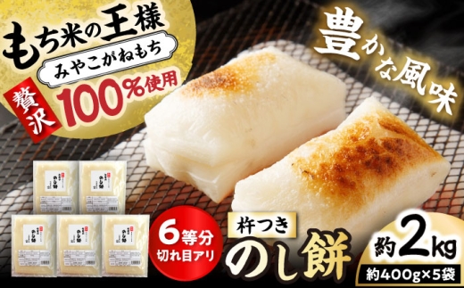 ymˎszy؂ڃAz n ̂ 2kg yėSXz /    / ˎs [BBEF001]