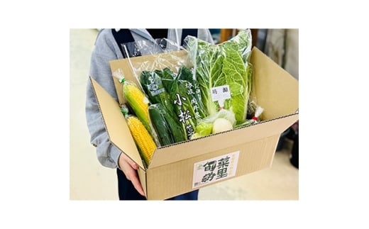 【京都府久御山町】季節の京都府久御山野菜詰合せ【1097548】
