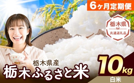 yȖ،ؒzy6ցz Ȗ ӂ邳ƕ  10kg (5kg×2)sXo׊JntȖ، ؒ  Y   ٓ ɂyȖ،ʕԗiz