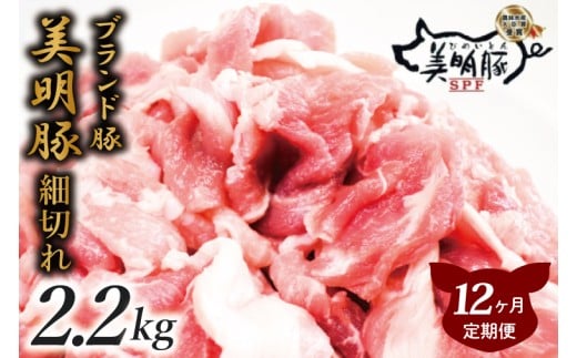 y錧sszy12ցz炩W[V[ȓؓy؂ܐ؂z2.2kgb  ؓ  ܐ؂ uh   錧 ss(J-19)