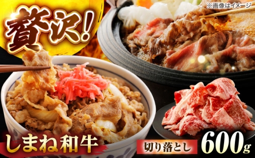 y]sz܂˘a؂藎Ƃ 600g ]s/Ђꂢt[Y [ALFR007]