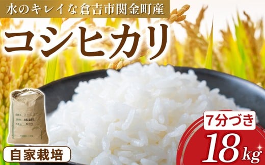 y挧qgszRVqJ 18kgiVÂjߘa7NY V    R Ђ RVqJ  ͂ 挧 qgsY