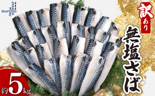 ytqsz󂠂  5kg  I ΃tB[ ItB[ ΃tB ItB KiO ؂g ؐg Y Ysgp mEF[To mEF[Y  ʗⓀ ٓ