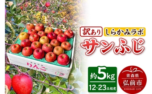 yXOOszy25N12`z Tӂy󂠂z5kg 炩݃{