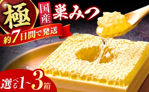 選べる箱数】極巣みつ 1箱～3箱 蜂蜜 はちみつ ハチミツ すみつ 巣蜜