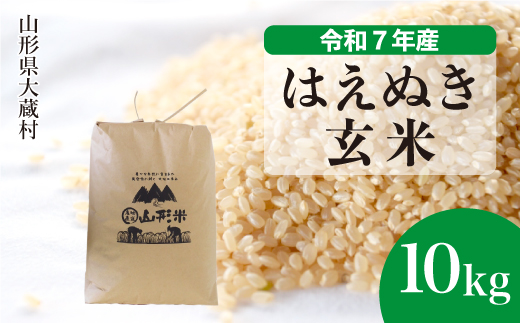令和7年産米＞ はえぬき 【玄米】 10kg （10kg×1袋）＜配送時期選べ 