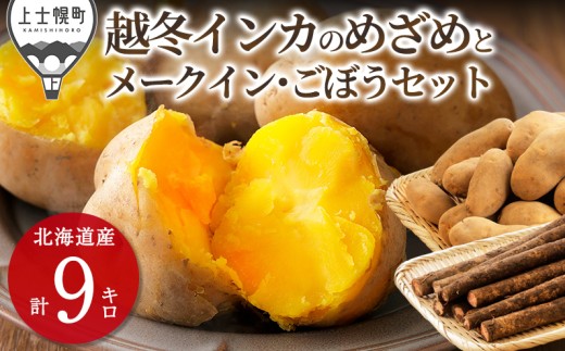 北海道産 越冬 インカのめざめ メークイン ごぼう セット 計9kg 北海道