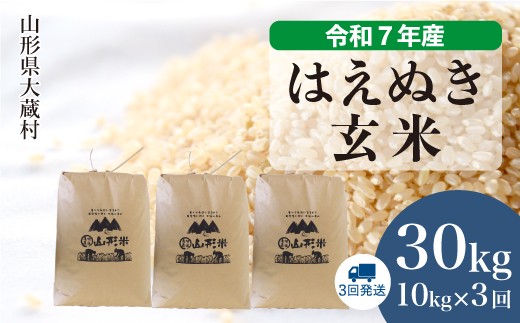 令和7年産米＞ はえぬき 【玄米】 30kg定期便 （10kg×3回発送）＜配送 