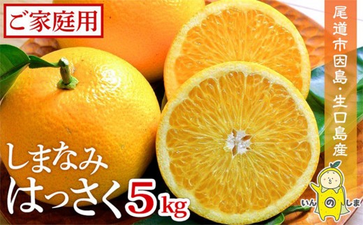 しまなみはっさく 家庭用八朔 5kg（尾道市因島・生口島産）【2026年2月
