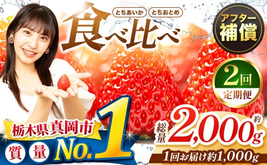 yȖ،^szy2z ƂƂ߁EƂ 1000g Hה Zbg |  C`S  Â lC {̂܂ Ȗ، ^s _ѐYb܍ő Xgx