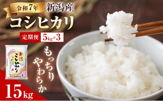 【新潟県新潟市】R7年産米【定期便】新潟産コシヒカリ5kg×3回