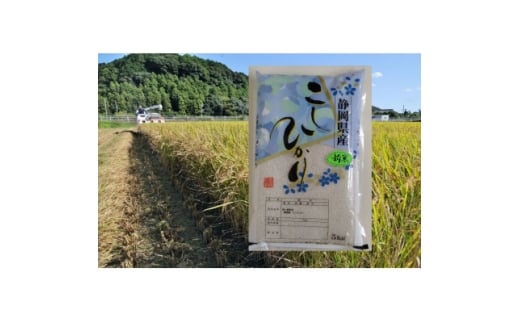 yÉ֓cszÉЂ  5kgy1680074z