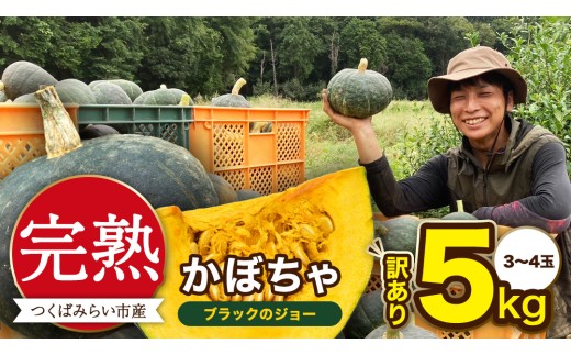 y錧΂݂炢szy A znڂ ubÑW[ 5kgi3`4ʁj ڂ ڂ قق ˂Ƃ Â Y 錧Y A   Y