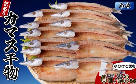 ym|szJ}X̊ 15܁i30jy6񕪁z