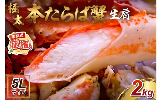 y{szy22kg̋ɑ5LTCYzԐlCI {ΊI  2kgyӂ邳Ɣ[3.0zy087B-037z