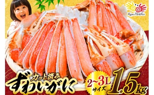 y{錧CszJbg  킢 ނg Zbg d 1.5kg (d1.2kg) 2-3LTCY [Jl_C {錧 Cs 20565690]  Jj YCKj 킢 YC I _ |[V