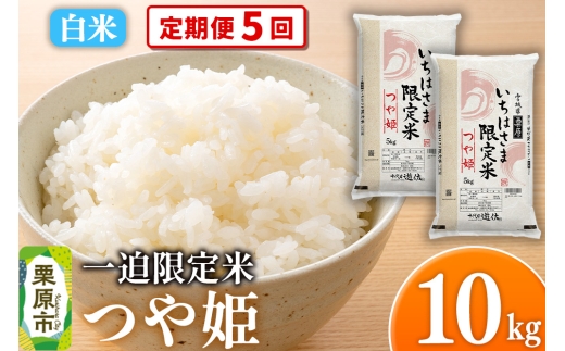 【宮城県栗原市】【定期便5回】【白米】令和7年産 一迫限定米 つや姫 10kg(5kg×2袋)
