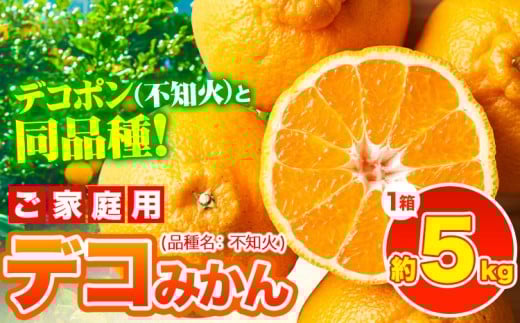 yF{ÓޖؒzfR| ( sm )ƓiIfR݂ F{Y (ÓޖؒY܂) 󂠂 5kgO(12-24ʑO) ks2{-4oׁt ݂ t[c sm s\ 󂠂