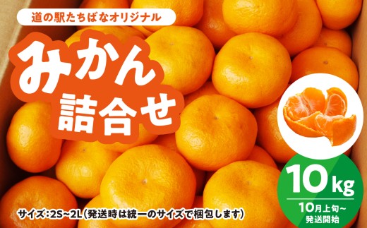 ysz̉w΂ȃIWi݂10kgl ݂ ݂ Ӑ݂ ~J IW ʕ t[c