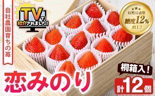 【鹿児島県阿久根市】<先行予約受付中!2026年1月以降順次発送予定>桐箱入!自社農園産いちご 恋みのり(計12個) 鹿児島 阿久根 自社農園 果物 フルーツ イチゴ いちご 苺 恋みのり 贈答用
