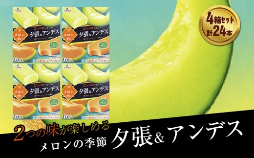 y茧Вzt^oHi@̋G [AfX@4Zbg@v24{